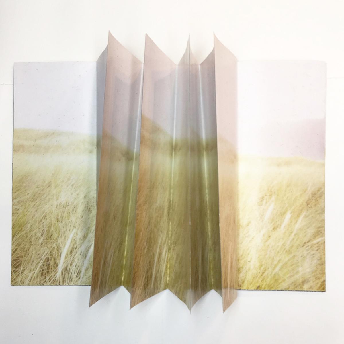 Field Magazine
